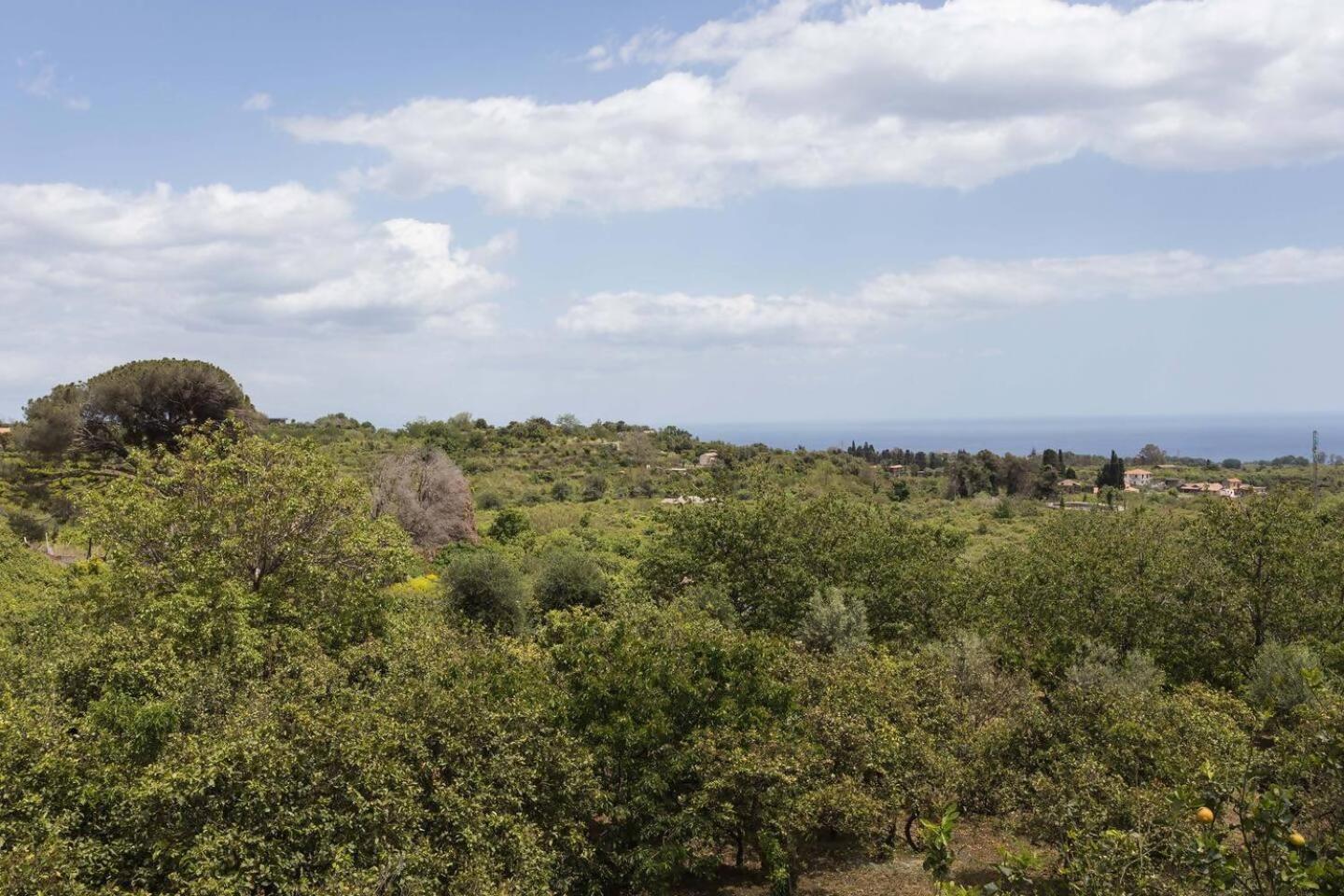 Villa Ginevra Santa Venerina Luaran gambar